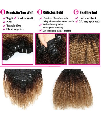 Kit Extensions à Clips Afro Curly Ombre Brun Chocolat Blond 120 gr pas cher 