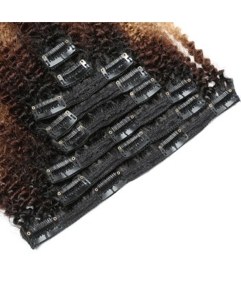 Versaute lockige Krawatte und Farbstoff Brun / Chatain Clip Extensions Kit une grave pollution 