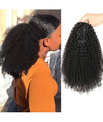 Cola de caballo de cola negra con alicates naturales Remy Hair Afro Curly online